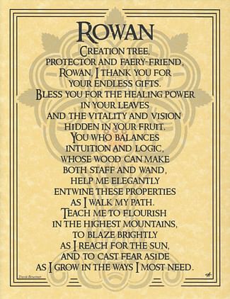 Occult & Magical